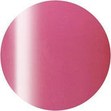 Presto, Presto Color Gel Jar #247 (2.7g), Mk Beauty Club, Gel Polish Jar