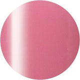 Presto, Presto Gel Jar #249 2.7g, Mk Beauty Club, Gel Polish Jar