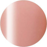 Presto, Presto Color Gel Polish Jar #251 (2.7g), Mk Beauty Club, Gel Polish Jar