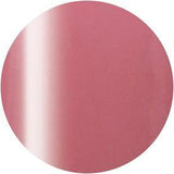 Presto, Presto Gel Jar #254 2.7g, Mk Beauty Club, Gel Polish Jar