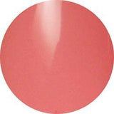 Presto, Presto Art Gel 2g Jar - AM04, Mk Beauty Club, Art Gel