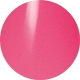 Presto, Presto Art Gel 2g Jar - AM05, Mk Beauty Club, Art Gel