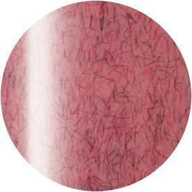 Nail Labo, Presto Gel Polish Bottle 10g SC-222, Mk Beauty Club, Gel Polish